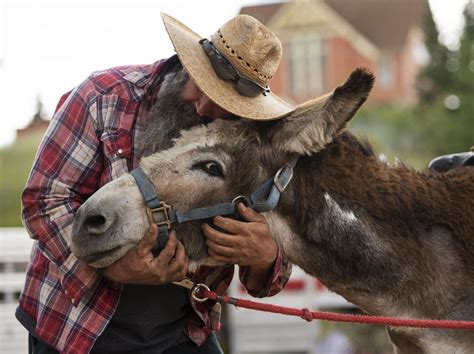 PHOTOS: 90th Donkey Derby Days in Cripple Creek | Multimedia | gazette.com