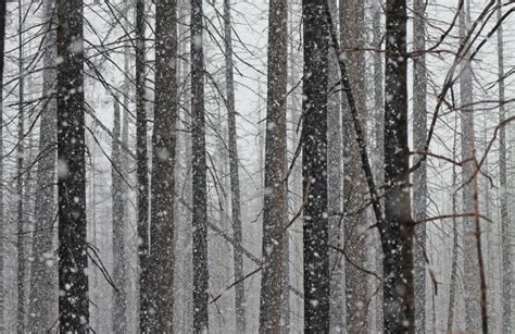 Snowshoeing At Flagg Ranch Near Yellowstone – Red Around the World