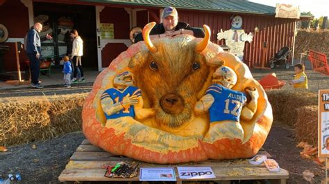 Olean artist carving 2,023-pound pumpkin for Buffalo Bills