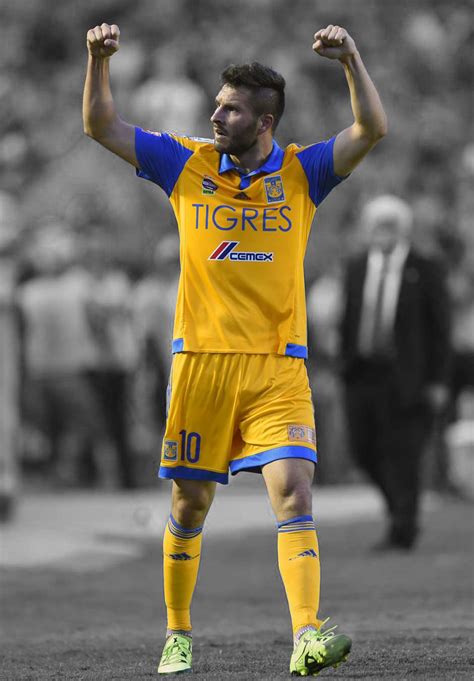 Gignac 2 Wallpaper by deleon88 on DeviantArt