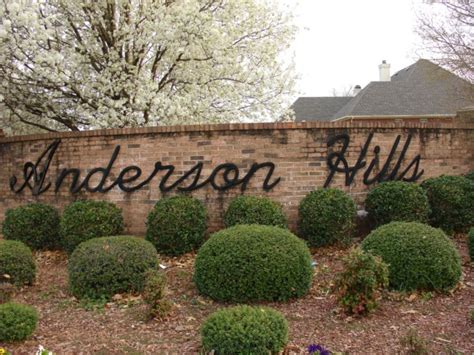 Upscale Homes, Anderson Hills, Harvest Alabama, Homes For Sale