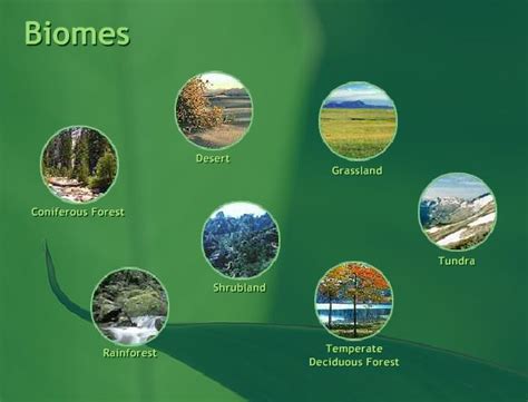 seven types of biomes (With images) | Learning sites, Biomes ...