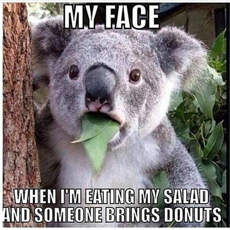 The face you make when you are eating a salad and someone shows up with donuts. - RealFunny