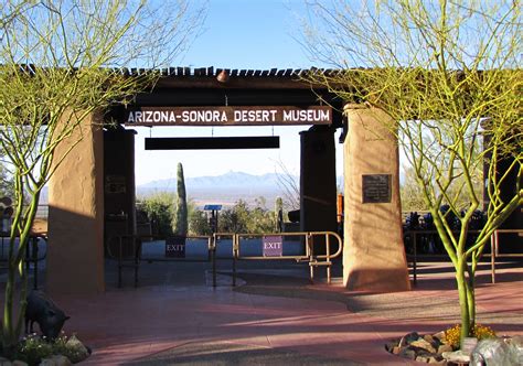 Arizona-Sonora Desert Museum Art Institute - Tucson AZ - Museum - ArtGeek