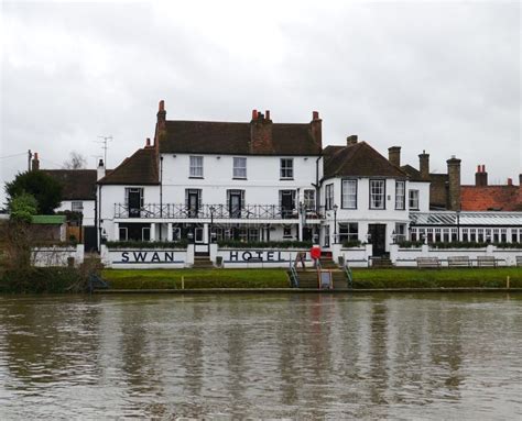 The Swan at Staines upon Thames Stock Image - Image of gull, wildlife ...