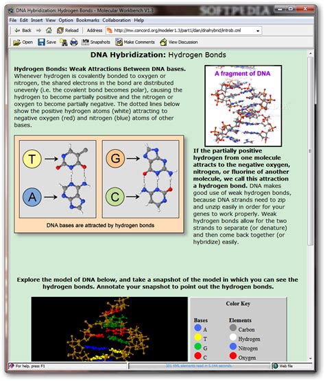 DNA Hybridization - Download, Screenshots