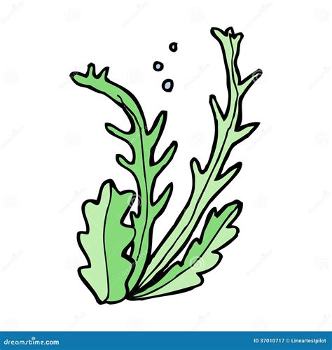 Alga dos desenhos animados ilustração do vetor. Ilustração de seaweed ...