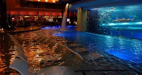 Golden Nugget Shark Tank Pool | Aquarium | Fremont Street