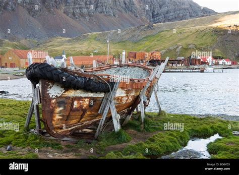 Old whaling station, Grytviken, South Georgia, South Atlantic Stock Photo - Alamy