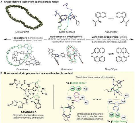 Total synthesis reveals atypical atropisomerism in a small-molecule ...