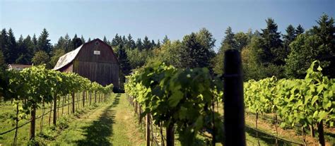 Fraser Valley Wine Region of British Columbia | Wine BC