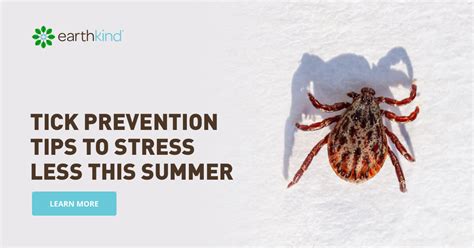 Tick Prevention Tips to Stress Less this Summer | Earthkind