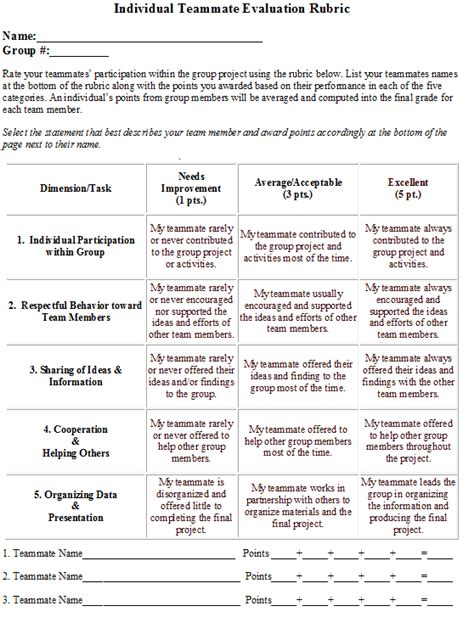 Individual Team Member Rubric for Group Projects | MyOwnClassroom | Pinterest | Group projects ...