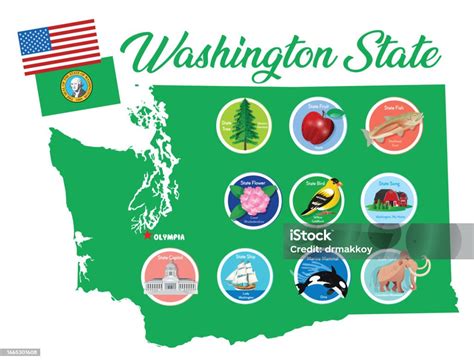 Washington State Symbols Stok Vektör Sanatı & ABD‘nin Daha Fazla Görseli - ABD, Amerikan Sakası ...