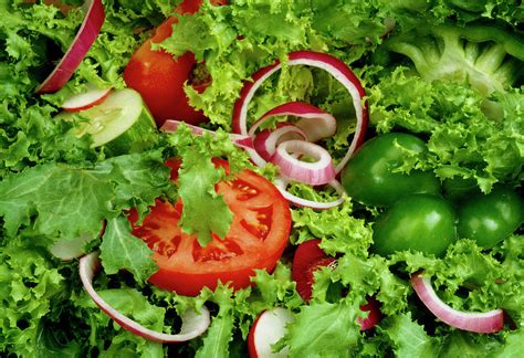 Chicory Salad Photograph by Sally Mccrae Kuyper/science Photo Library ...