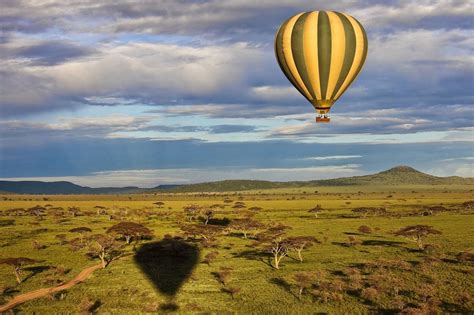 The Serengeti | Balloon Safari