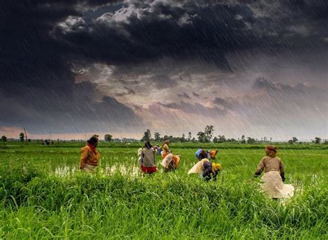 globalEDGE Blog: The Future of Agriculture in India >> globalEDGE: Your source for Global ...