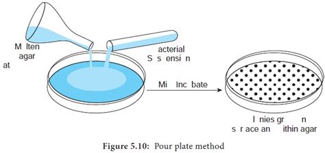 Pure Culture - Methods Employed in the Isolation of Microorganisms