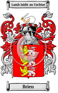 Brien Name Meaning, Family History, Family Crest & Coats of Arms