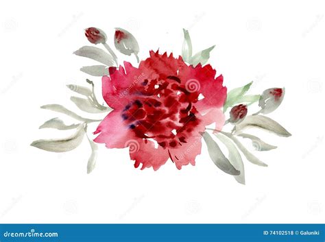 Pink peon flower stock illustration. Illustration of nature - 74102518