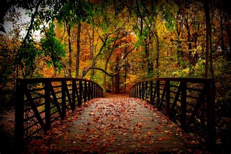 Autumn Bridge Wallpapers - Wallpaper Cave