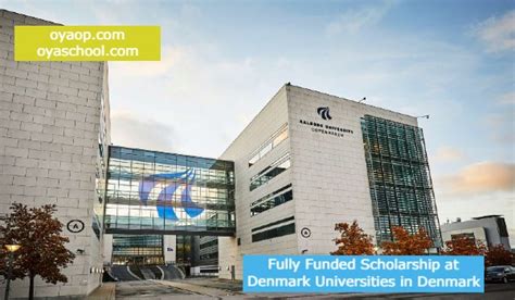 Fully Funded Scholarship in Denmark - OYA Opportunities | OYA Opportunities