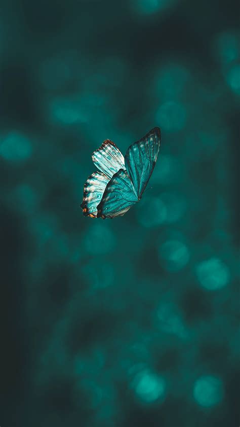 Teal Wallpaper Iphone, Blue Butterfly Wallpaper, Turquoise Wallpaper ...
