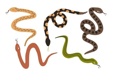 What kind of snake has different colors?