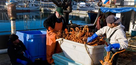 Choosing Winners and Losers in Alaska’s Crab Fishery | Hakai Magazine