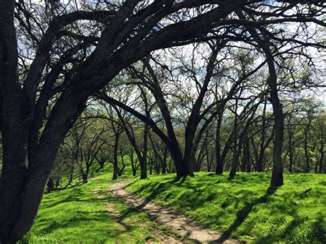 Hike from downtown Danville into Las Trampas Regional Wilderness, home to Eugene O'Neill's ...