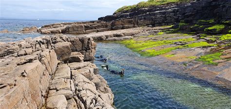 Snorkelling in Mullaghmore