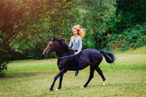 What Is The Difference Between Trot And Canter? - Best Horse Rider