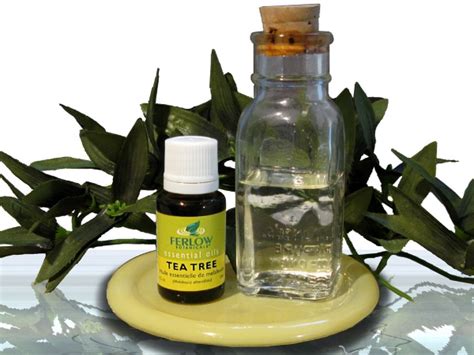 Tea Tree Oil for Skin Tags | New Health Advisor