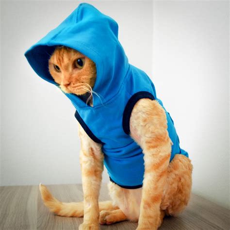 Cat Clothes | Cat Clothing | Clothes for Cats | Cat-toure | Devon Rex Clothes and Sphynx Clothes