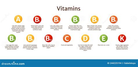 Vitamin Supplement Infographic Vector Chart. Food and Nutrition Sources of Vitamins a, Group B ...