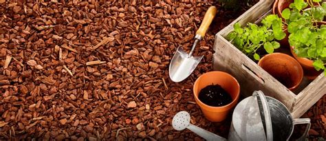 How to Mulch Your Garden & Types of Organic Mulches | Zameen Blog