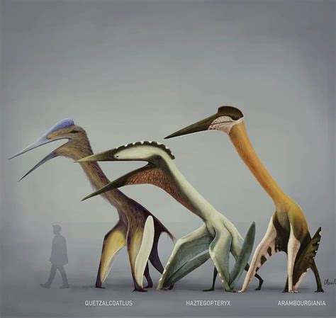 Pterosauri | Dinosaurier kunst, Dinosaurier, Flugsaurier