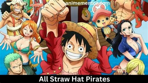 Pre And Post Timeskip All Straw Hat Pirates Age, Birthday, Height, And More