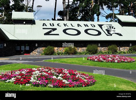 Exterior of Auckland Zoo, New Zealand Stock Photo - Alamy