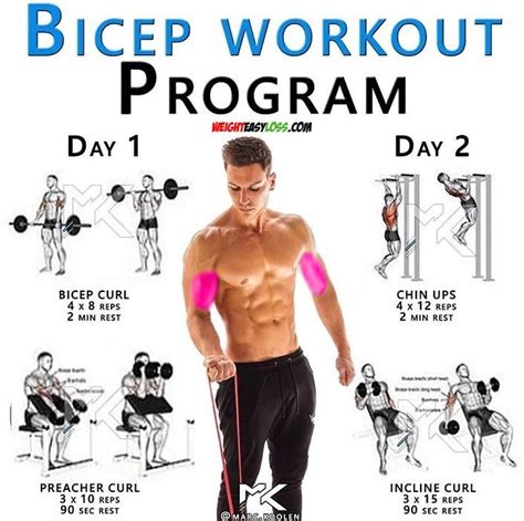 The biceps exercises | Palestra, Braccia