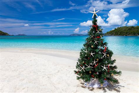 Royalty Free Caribbean Christmas Pictures, Images and Stock Photos - iStock