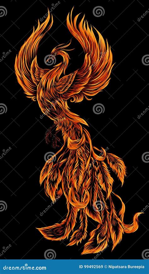 Phoenix Fire Bird Illustration and Character Design. Hand Drawn Phoenix ...