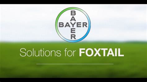 Solutions for Foxtail - Manage tough-to-control weeds - YouTube