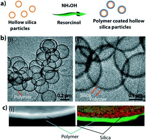 Hybrid hollow silica particles: synthesis and comparison of properties with pristine particles ...