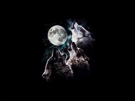 3 wolf moon howling Moon Night sky stars three trio wolves HD wallpaper | animals | Wallpaper Better