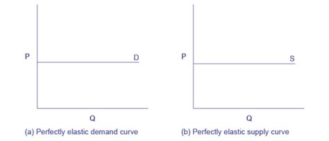 Reading: Polar Cases of Elasticity | Macroeconomics