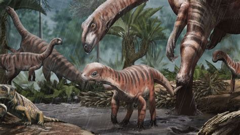 Did Dinosaur Herd Behavior Evolve? | The Institute for Creation Research