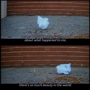 American Beauty Movie Quotes. QuotesGram