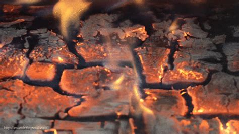 Fireplace Wood Burning