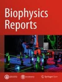 Three-dimensional electron spin resonance imaging of endogenous nitric oxide radicals generated ...